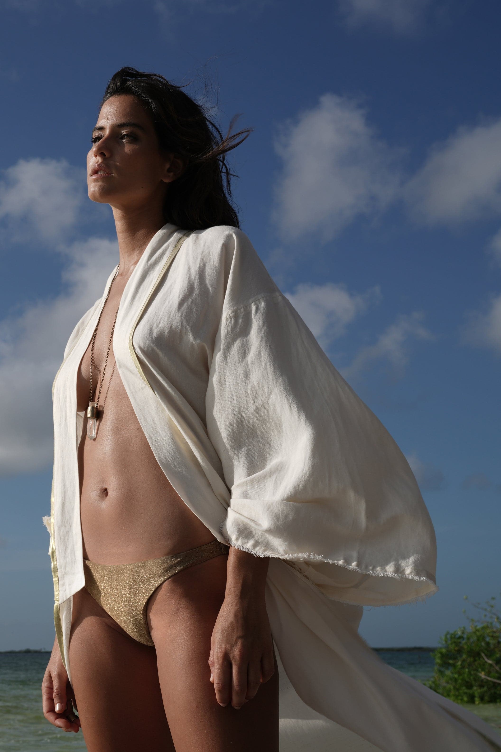 Kimono Long Broderie Serpent Ecru